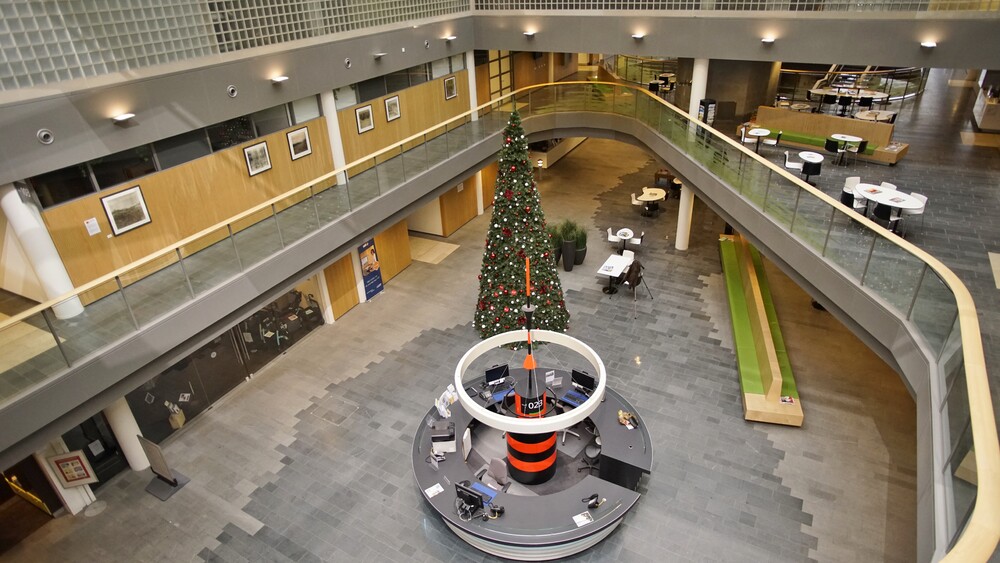 Kerstboom van boven Foto Gijs Hoogland