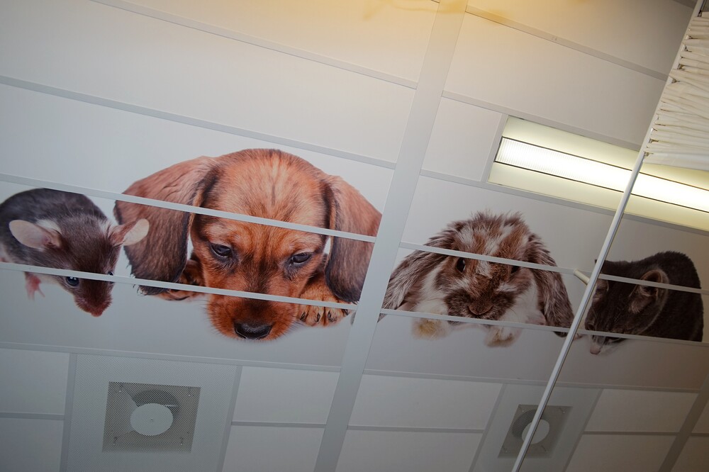 Plafondplaten 2 Foto Gijs Hoogland