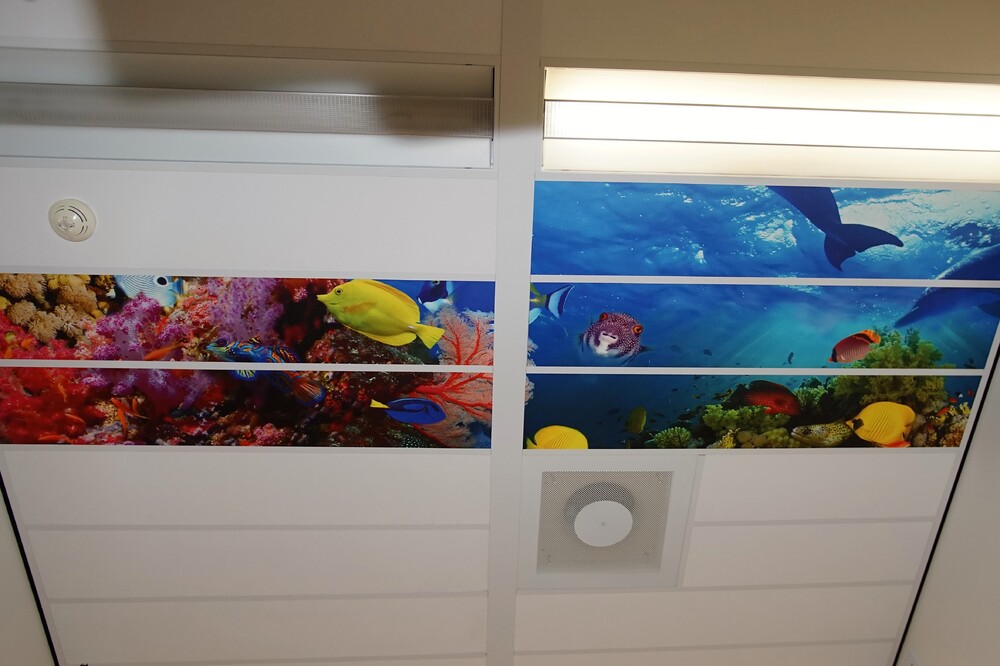 Plafondplaten 3 Foto Gijs Hoogland