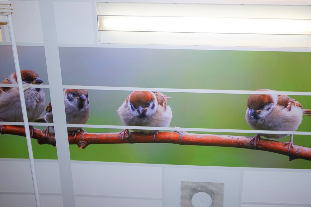 Plafondplaten 4 Foto Gijs Hoogland