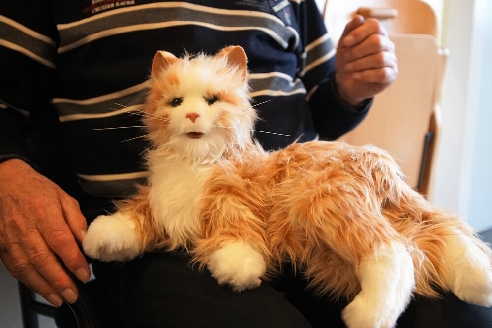 Robotpoes Foto Gijs Hoogland