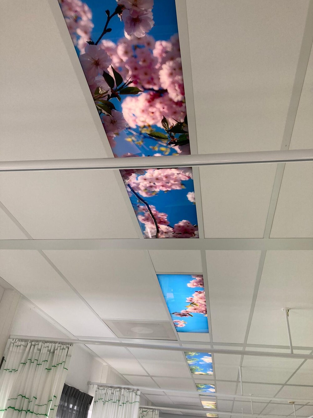 Wolken plafond