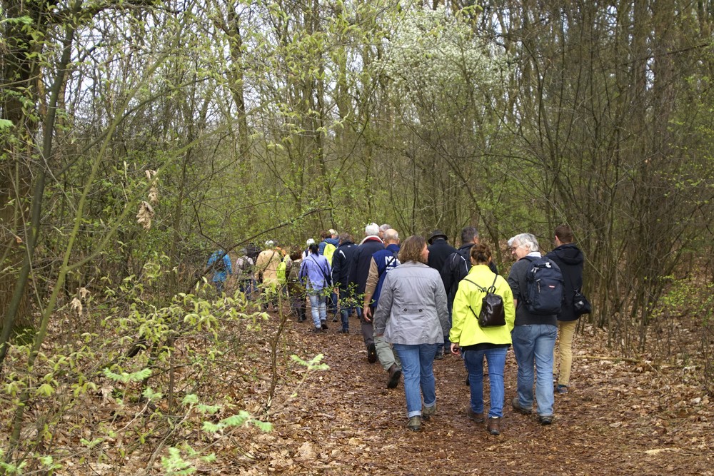 Biowalk (2018)