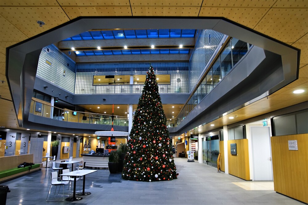 Kerstboom         Foto Gijs Hoogland