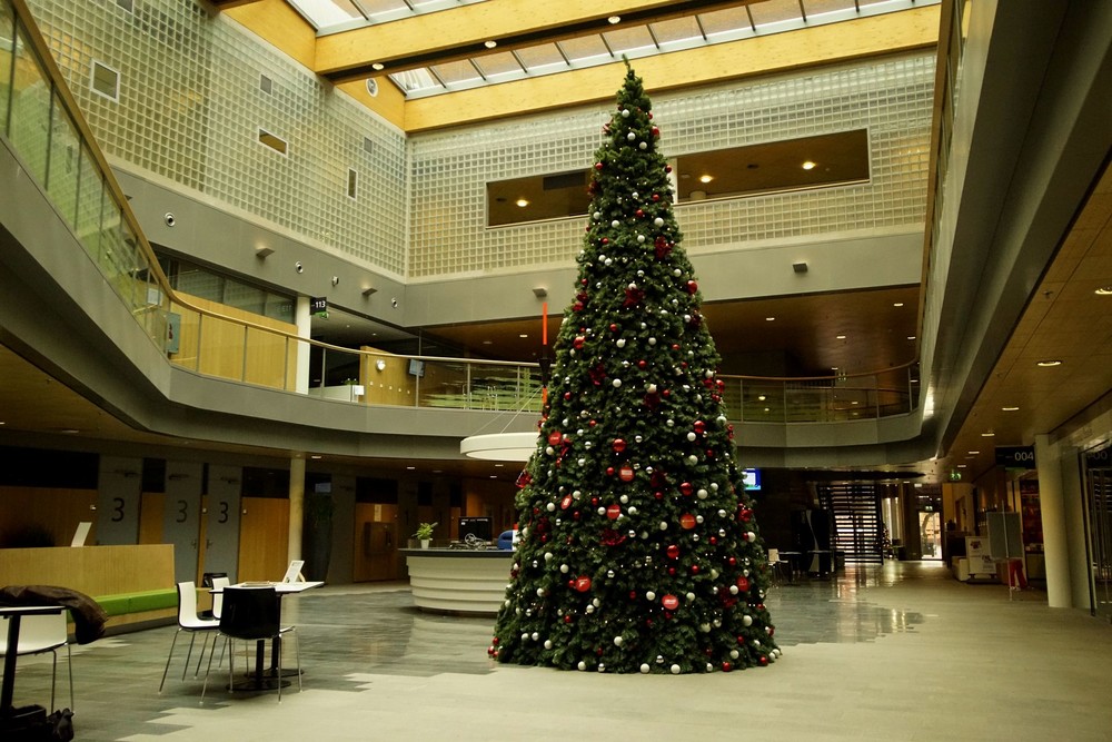 Reuze kerstboom in het atrium (2015)