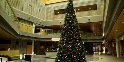 Reuze kerstboom in het atrium (2015)