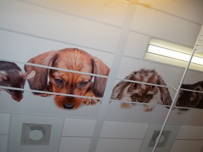 Plafondplaten 2 Foto Gijs Hoogland