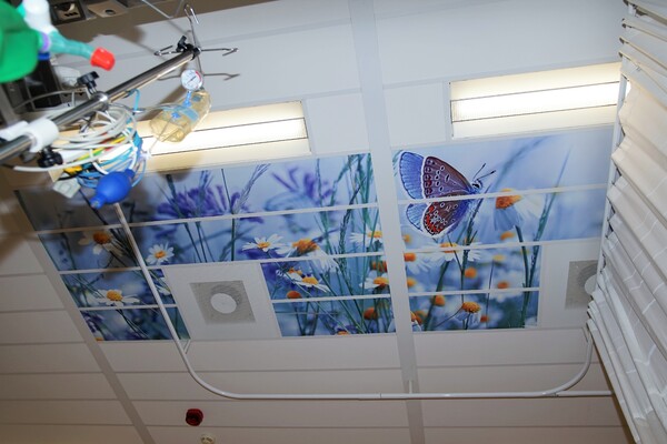 Plafondplaten verkoeverkamer 1 Foto Gijs Hoogland