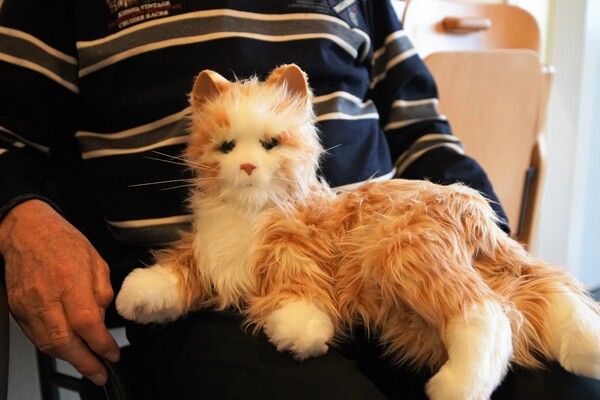 Robotpoes. Foto Gijs Hoogland