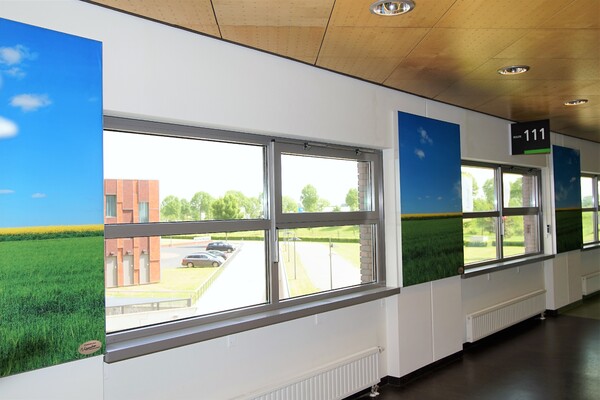 Foto Gijs Hoogland